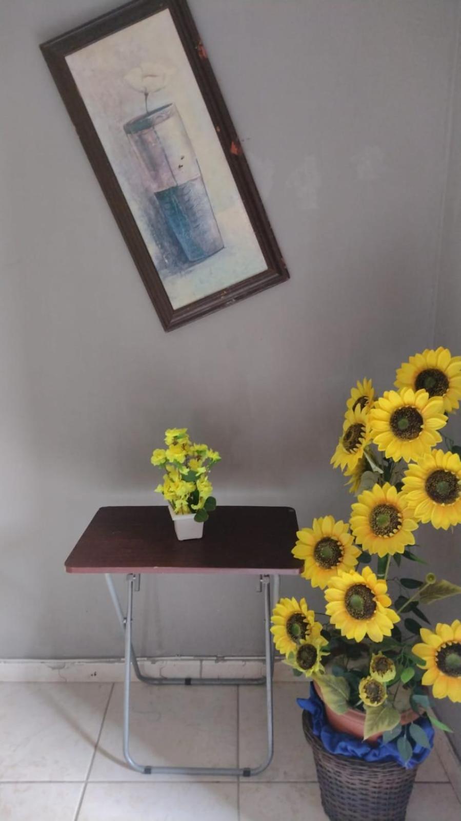 Olympios House Hostel Rio de Janeiro Zewnętrze zdjęcie